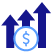 Capital Solutions - 1